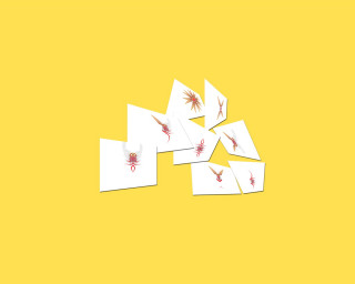 Cards red spider yellow background - pincushion len free wallpaper