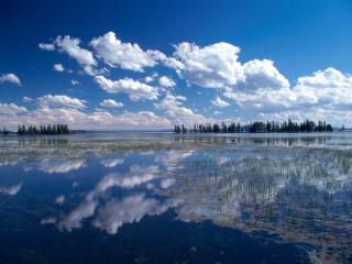 Lake clouds trees water sky 2 - the sky and trees free wallpaper
