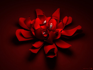 Red flower rose ambient occlusion - elizabeth murray free wallpaper