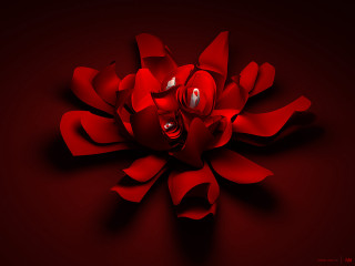Red flower smiley face center - a smiley face free wallpaper