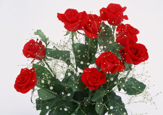 Vase red roses table white 5 - red rose free wallpaper for desktop