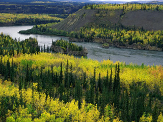River forest hillside green trees - a hillside free wallpaper