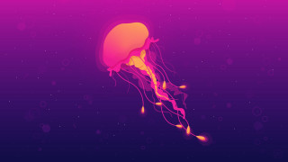 Jellyfish floating water bubbles around - jellyfish free wallpaper for desktop