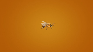 Bees flying yellow background black - edward ruscha free wallpaper for desktop