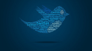 Twitter logo words blue background - word free wallpaper