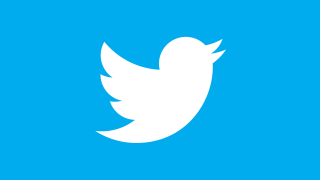White twitter logo blue background - constant free wallpaper for desktop