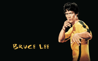 Bruce lee professional wrestler wrestling - character free wallpaper for desktop