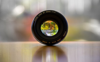 Camera lens table reflection tree 2 - a camera len free wallpaper