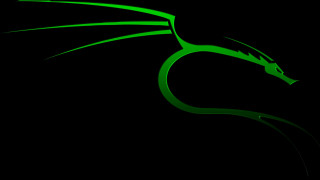 Green dragon flying dark sky - its wing free wallpaper