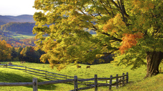 Fenced pasture horse mountain autumn - fall vibrancy free wallpaper for desktop