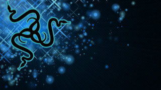 Snake blue background stars snowflakes - star and snow free wallpaper