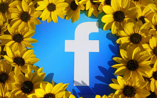 Sunflowers facebook logo blue background - f 8 aperture free wallpaper