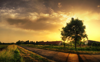 Dirt road tree sunset clouds 3 - a dirt road free wallpaper