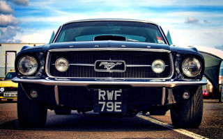 Mustang parked parking lot other - colin hayes free wallpaper