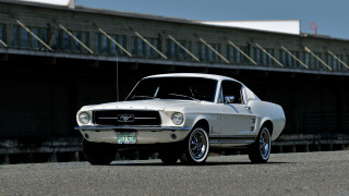 White mustang car parked building - vintage free wallpaper