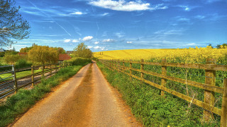 Dirt road fence flowers blue - a dirt road free wallpaper