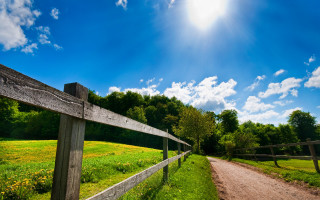 Dirt road fence sunny green - a bright sun in the background free wallpaper