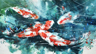 Koi fish painting pond water - in gouache free wallpaper