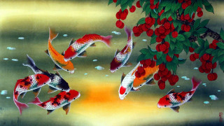 Fish swimming pond red berries - cloisonnism free wallpaper
