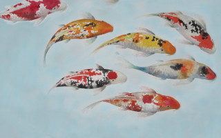 Koi fish swimming pond blue - painting free wallpaper