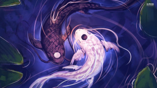 Fish swimming pond lily pads - blue background free wallpaper for desktop