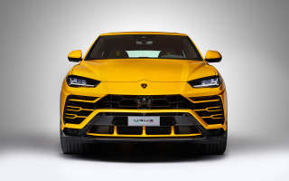 Yellow lambsuv front view menacing - menacing free wallpaper