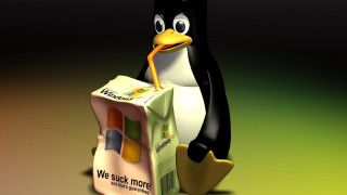Penguin carton milk carton milk - m free wallpaper