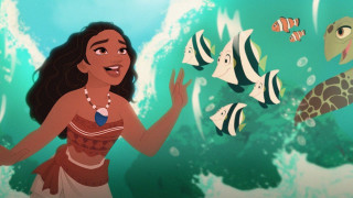 Woman bikini turtle fish sea - a turtle free wallpaper