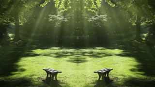Holographic park bench nature starry - a grassy area free wallpaper