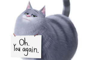 Cat holding sign oh you - cliff childs free wallpaper for desktop