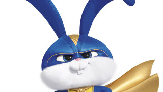 Cartoon character blue costume gold - a white face free wallpaper