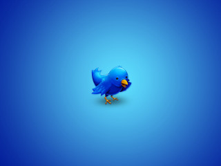 Blue bird outdoors penguin sky - conceptual free wallpaper