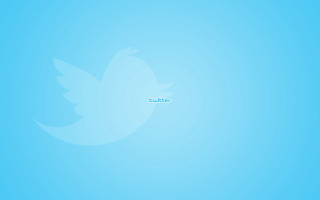 Blue twitter logo minimalist screenshot - carles delclaux i free wallpaper for desktop
