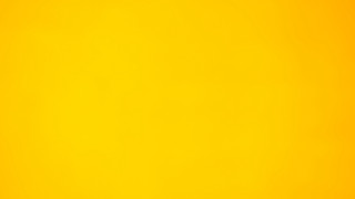 Yellow background black white cat 4 - a yellow wall free wallpaper