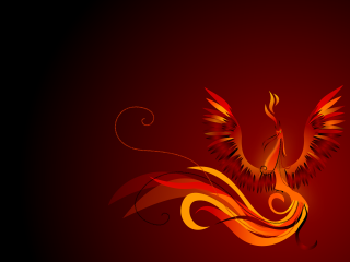 Bird long tail flying red - felipe seade free wallpaper