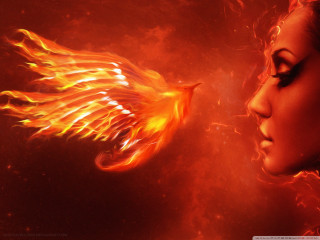 Woman bird fire hair shoulder - her shoulder free wallpaper for desktop