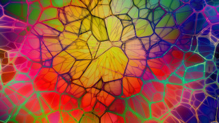 Colorful abstract background large flower - abstract free wallpaper for desktop