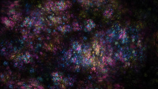 Colorful flowers night sky dark - the dark night sky free wallpaper for desktop