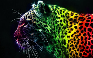 Colorful leopard black background rainbow 3 - a black background free wallpaper for desktop