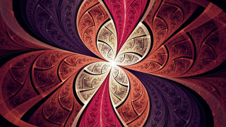 Colorful abstract fractals mandelbrot lace - a yellow center free wallpaper