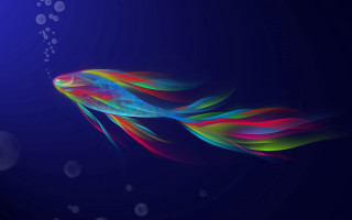 Colorful fish floating bubbles dark - blue background free wallpaper