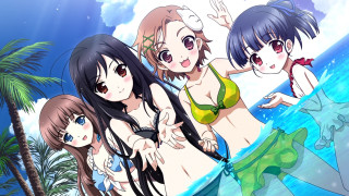 Girls bikinis beach ocean palm - bikinis free wallpaper