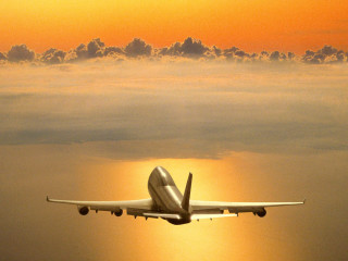 Plane flying sky sun clouds 6 - a yellow sky free wallpaper