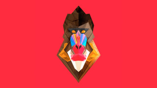 Colorful animal red background red - liam brazier free wallpaper