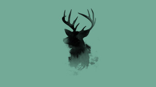 Deer head antlers green background - mist free wallpaper for desktop