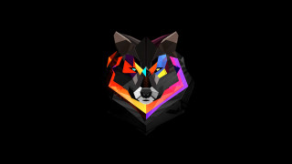 Colorful wolf head black background - liam brazier free wallpaper