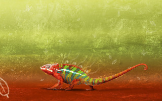 Colorful lizard psychedelic digital painting - bernard accama free wallpaper