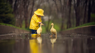 Boy yellow raincoat duck puddle - a little boy free wallpaper for desktop