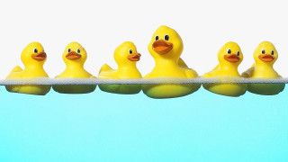 Rubber ducks shelf water row 2 - les automatiste free wallpaper