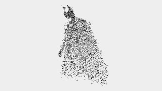 Man standing air birds flying - bird free wallpaper for desktop